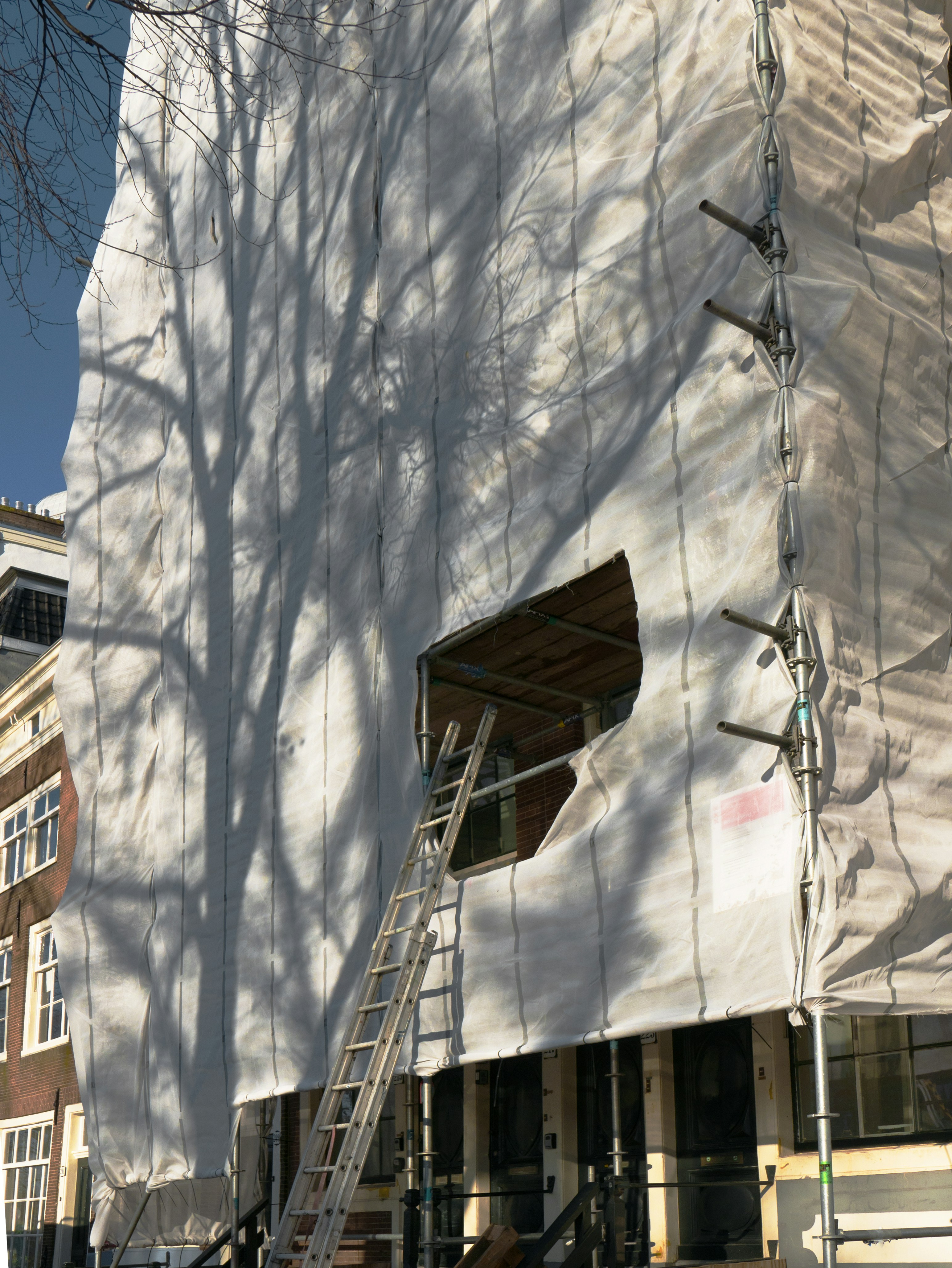 Free photo of a building canvas in front of the house facades. It is renovation time! The street trees are projected with thier shadows on the canvas surface with a beautiful texture of branches. Street photography in free download of old cities in The Netherlands by Fons Heijnsbroek, 2023 // Foto van Amsterdam, gratis download: Een huis wordt verbouwd, dus is er aan de gevel bouwdoek gespannen. Het is herfst met veel kale iepen-bomen van de Wittenburgergracht: de takken zijn zo prachtig te zien als een licht-projectie van de felle zon. Straatfotografie van Amsterdam stad, Nederland